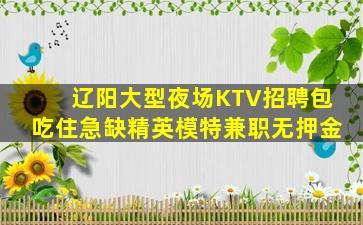 辽阳大型夜场KTV招聘包吃住急缺精英模特兼职无押金